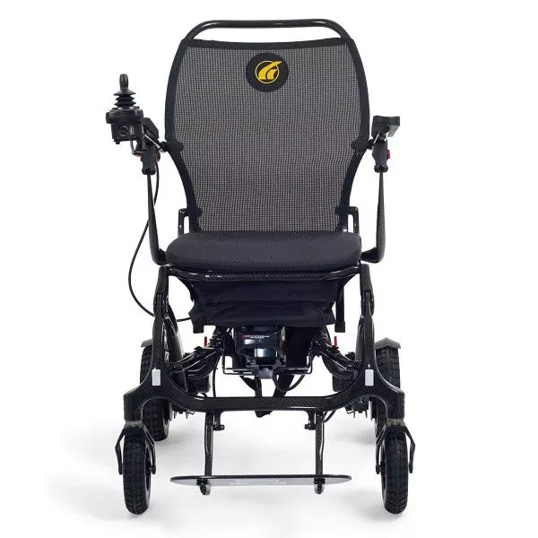 golden-cricket-2-600x600